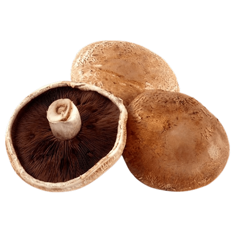 Champignon Portobello (2 pièces) (BE) BIO